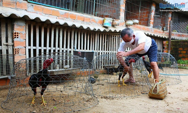 Tìm hiểu gà trùng huyết là gì?